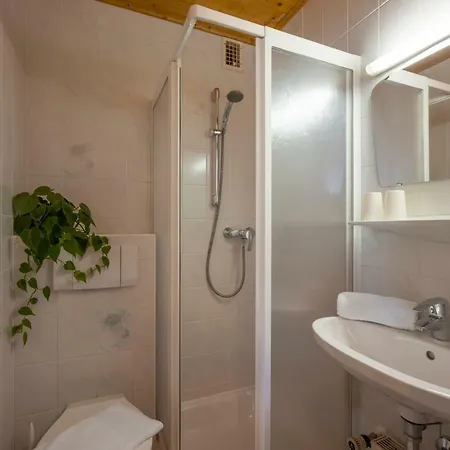 Bachler Brixen im Thale