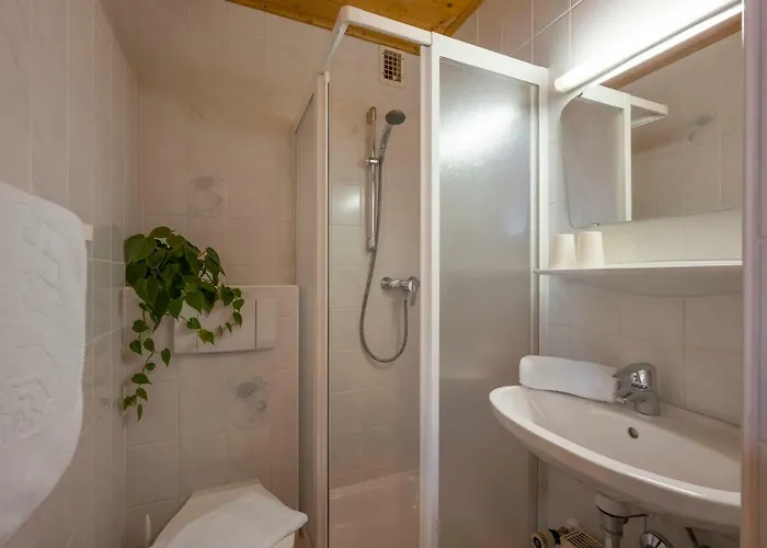 Bachler بريكسن ام تاله